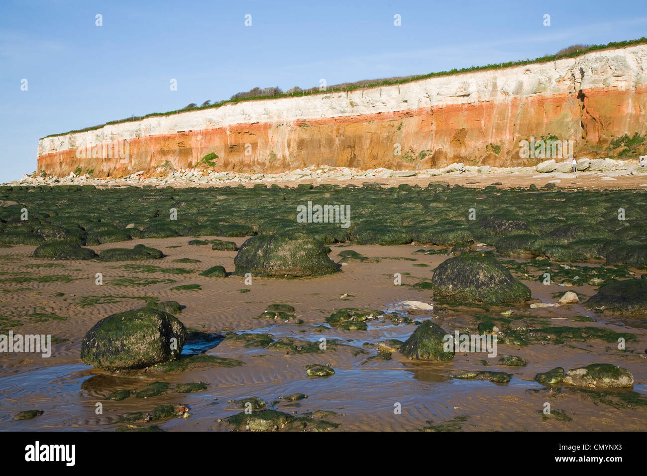 À rayures rouges et blanches falaises Hunstanton, Norfolk, Angleterre Banque D'Images