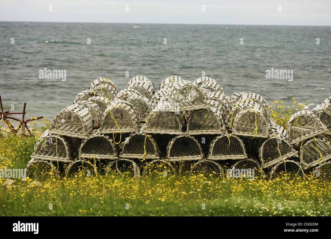 Terre-neuve les casiers à homards par Ocean Banque D'Images
