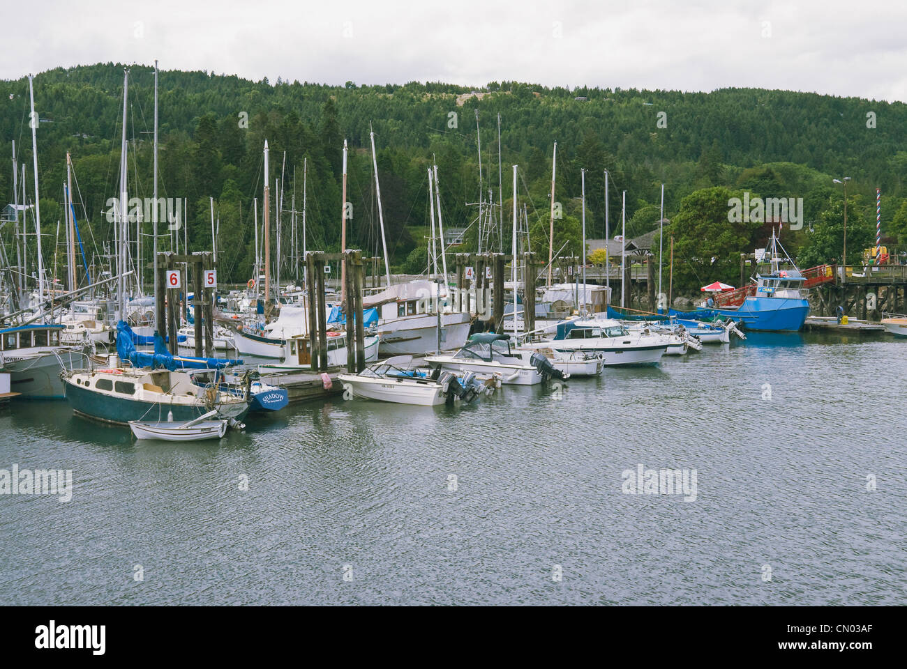 Bateaux à quai dans le port, quai du centenaire, les îles Gulf, Salt Spring Island (Colombie-Britannique) Banque D'Images