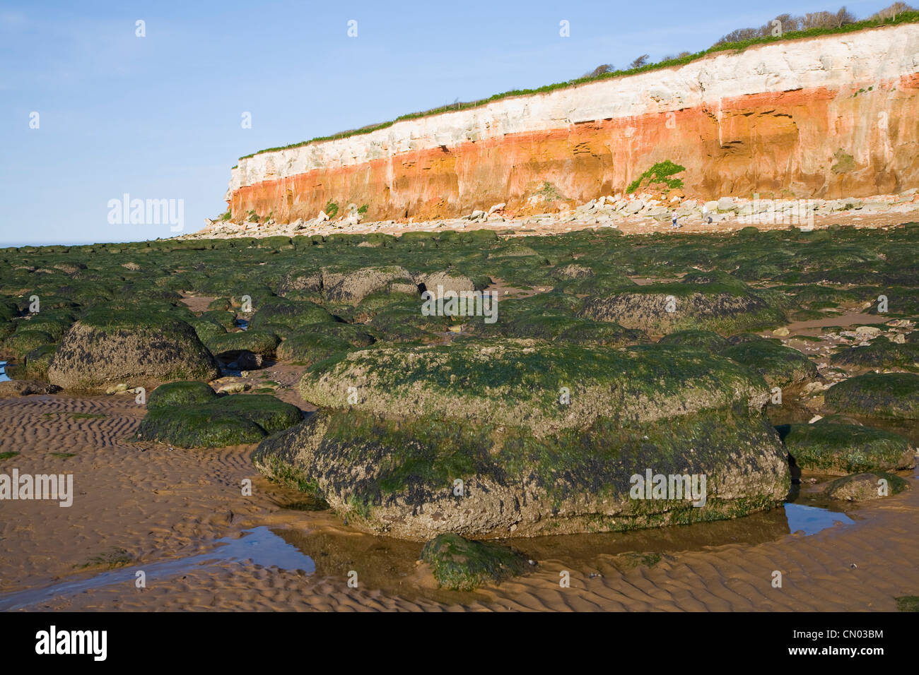 À rayures rouges et blanches falaises Hunstanton, Norfolk, Angleterre Banque D'Images