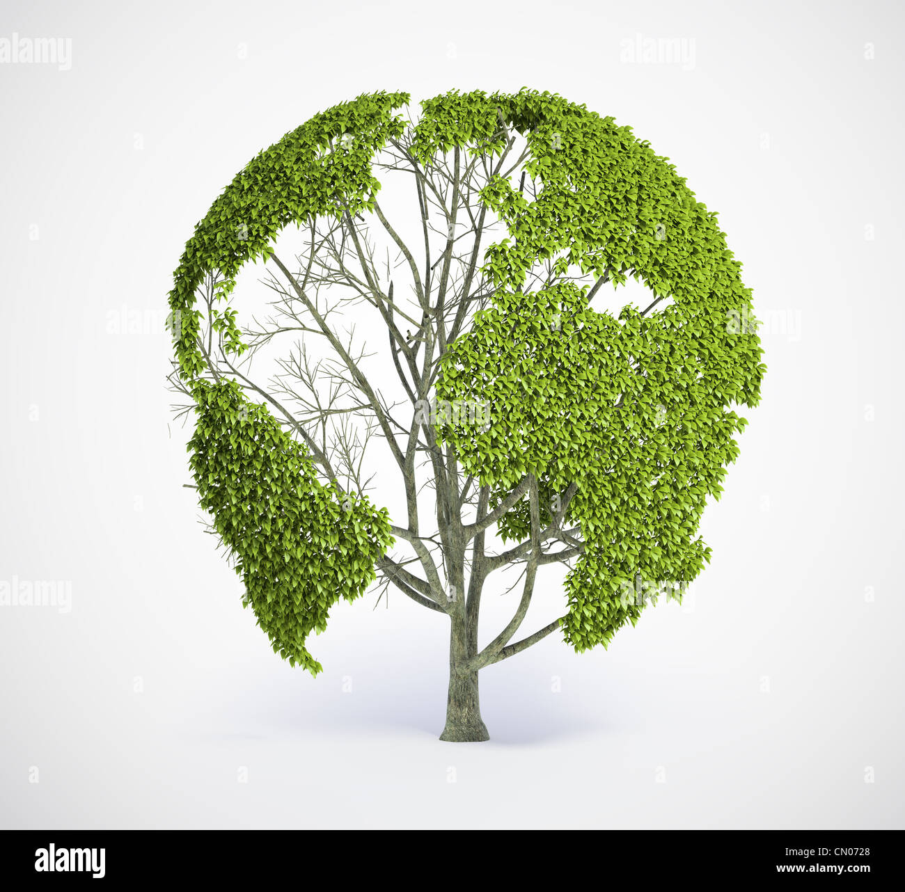 En forme d'arbre comme la carte du monde Banque D'Images