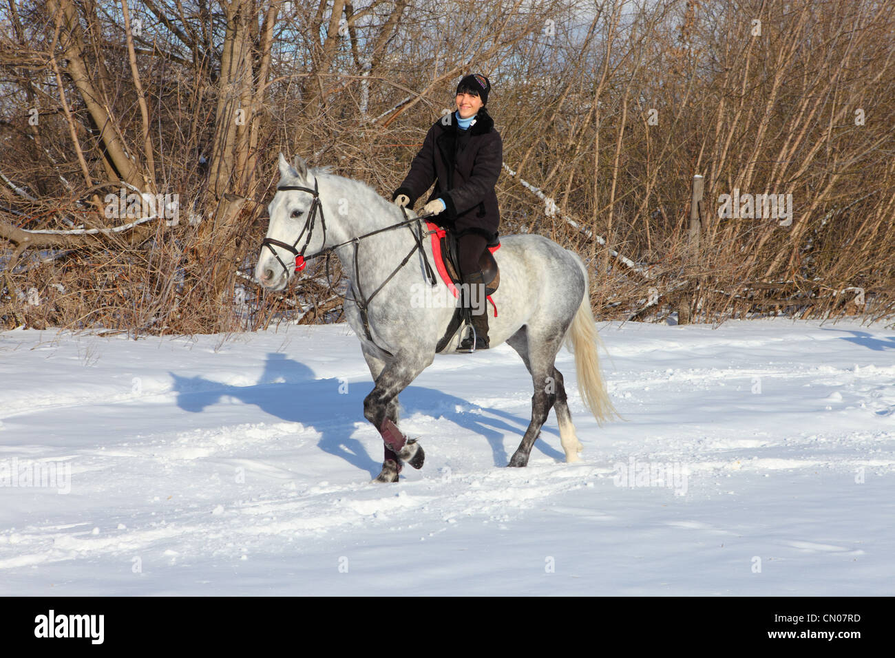 Jeune cavalière pratiquant l'anglais au style d'équitation ranch d'hiver Banque D'Images