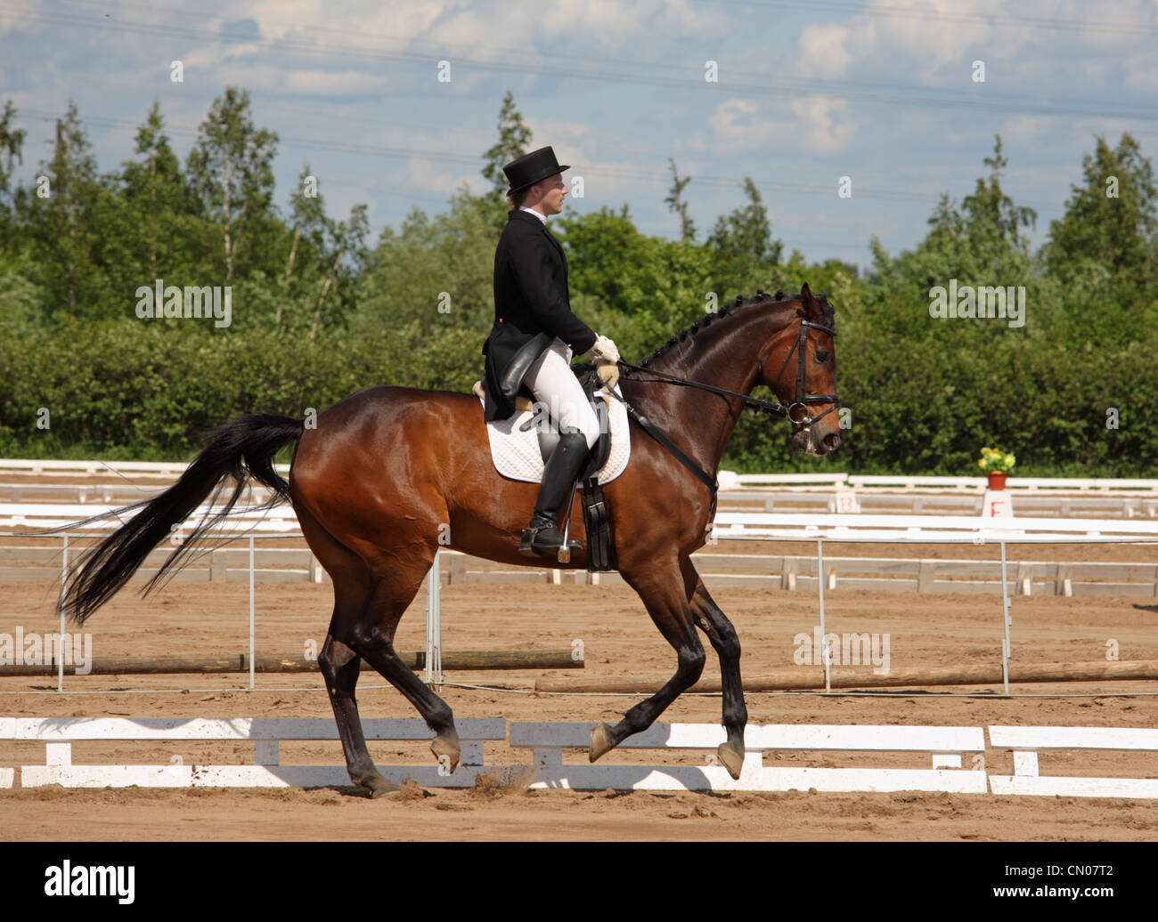 Cavalier et son cheval dans un concours de dressage Banque D'Images