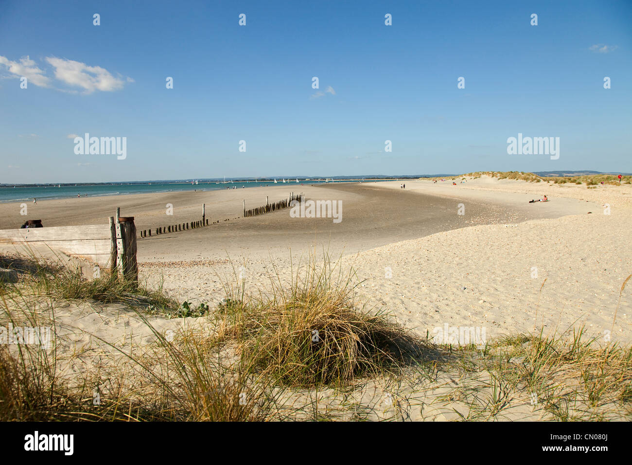 L'Angleterre, West Sussex, West Wittering Beach, vue sur les dunes de sable et de la mer vers l'Est à la tête. Soleil et ciel bleu. Banque D'Images