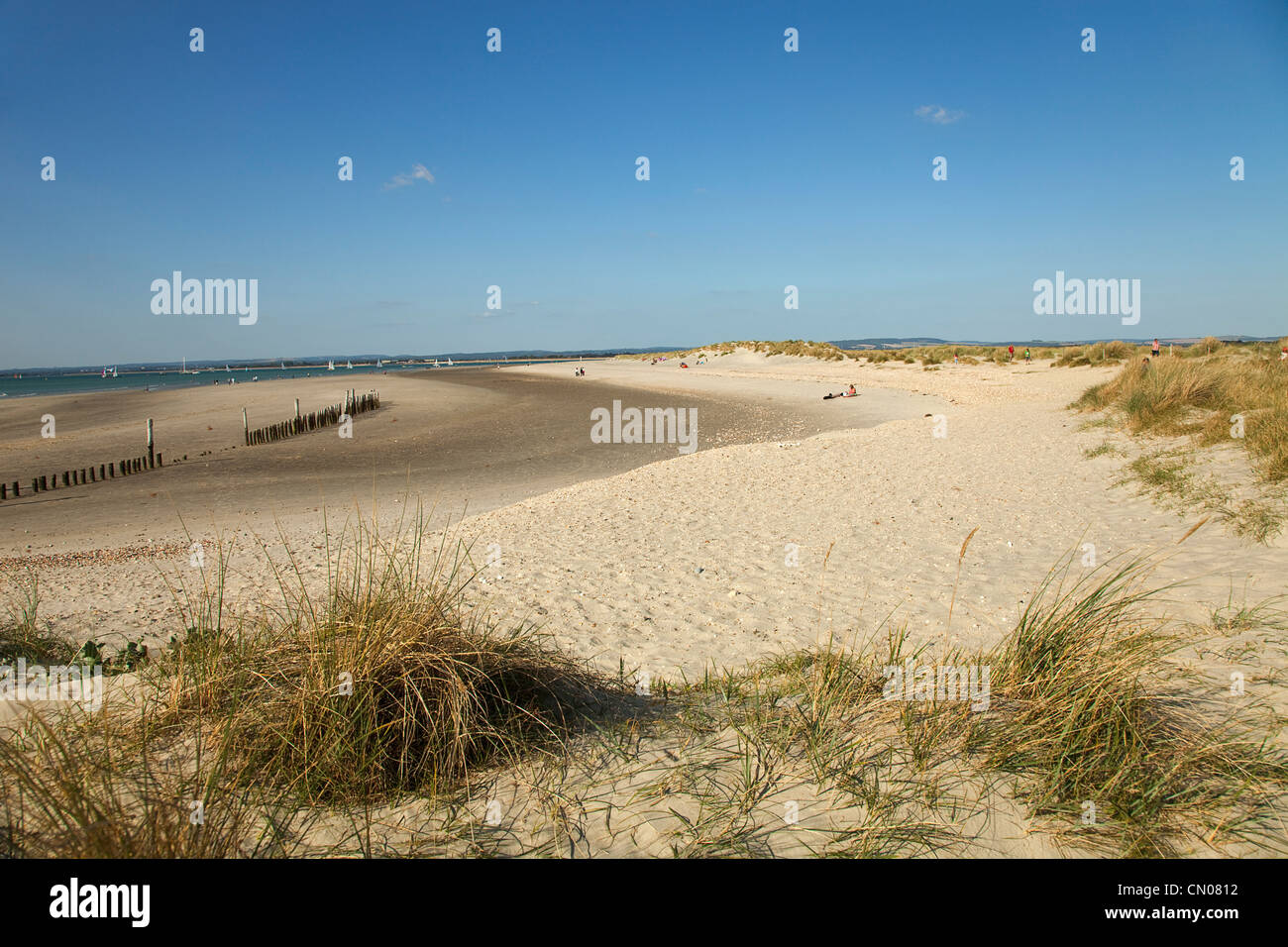L'Angleterre, West Sussex, West Wittering Beach, vue sur les dunes de sable et de la mer vers l'Est à la tête. Soleil et ciel bleu. Banque D'Images