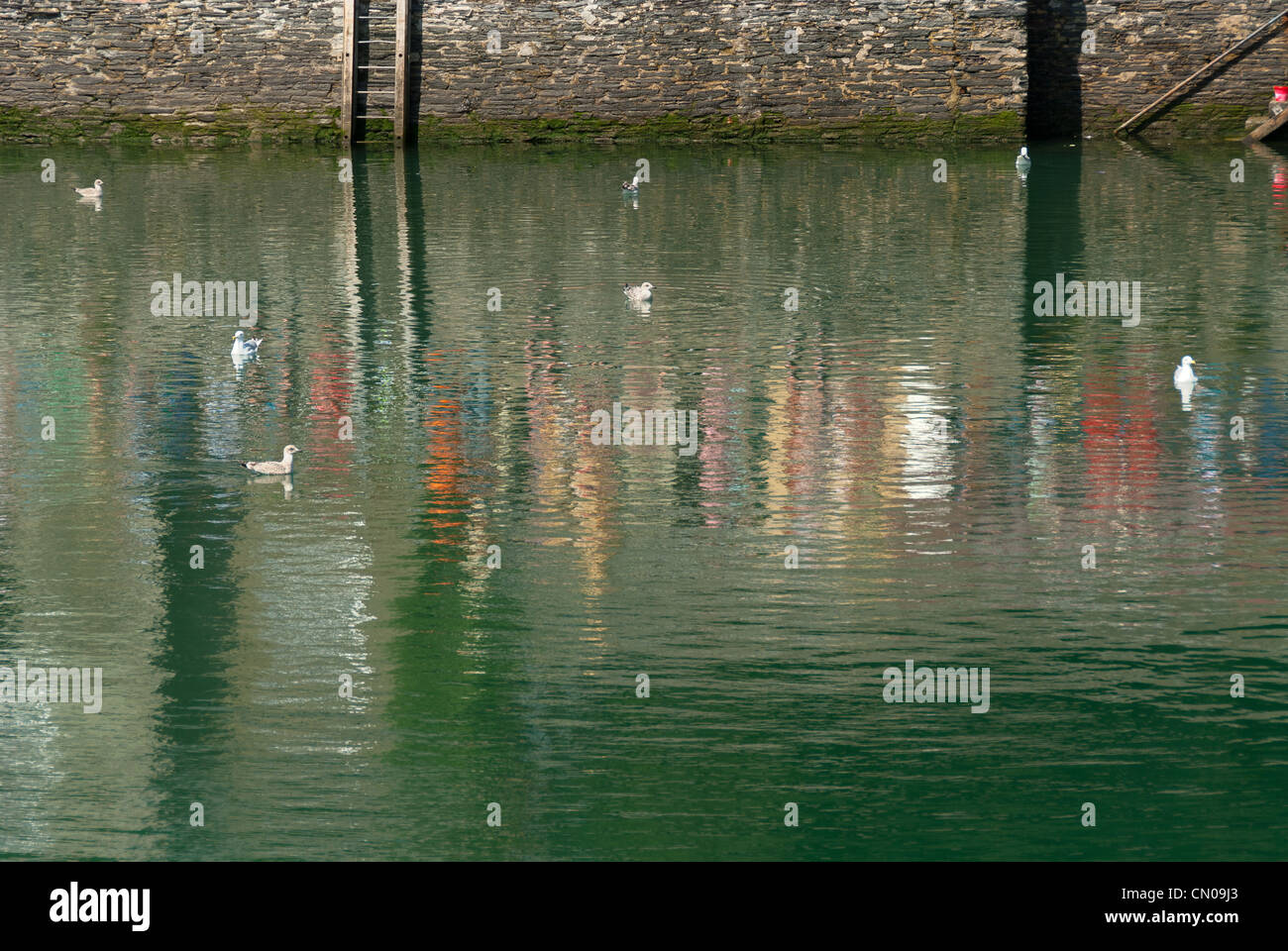 Chez les goélands les réflexions du port de Padstow à Cornwall Banque D'Images