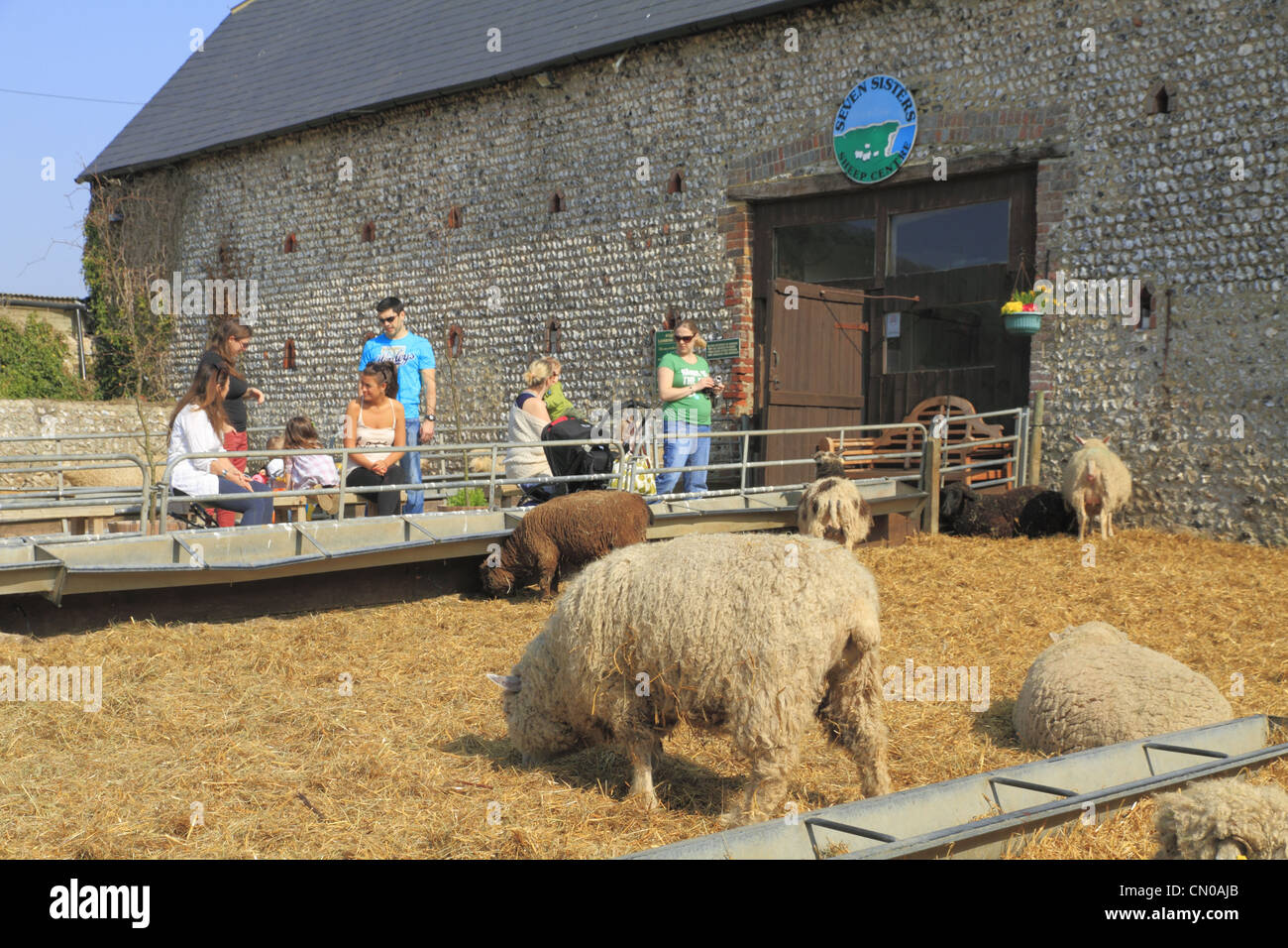 Les visiteurs et les touristes sous le soleil à l'Urrugne les moutons, près de l'East Dean, East Sussex, Angleterre. Banque D'Images