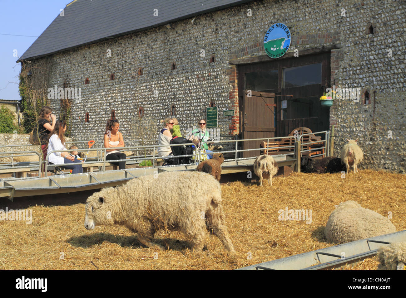 Les visiteurs et les touristes sous le soleil à l'Urrugne les moutons, près de l'East Dean, East Sussex, Angleterre. Banque D'Images