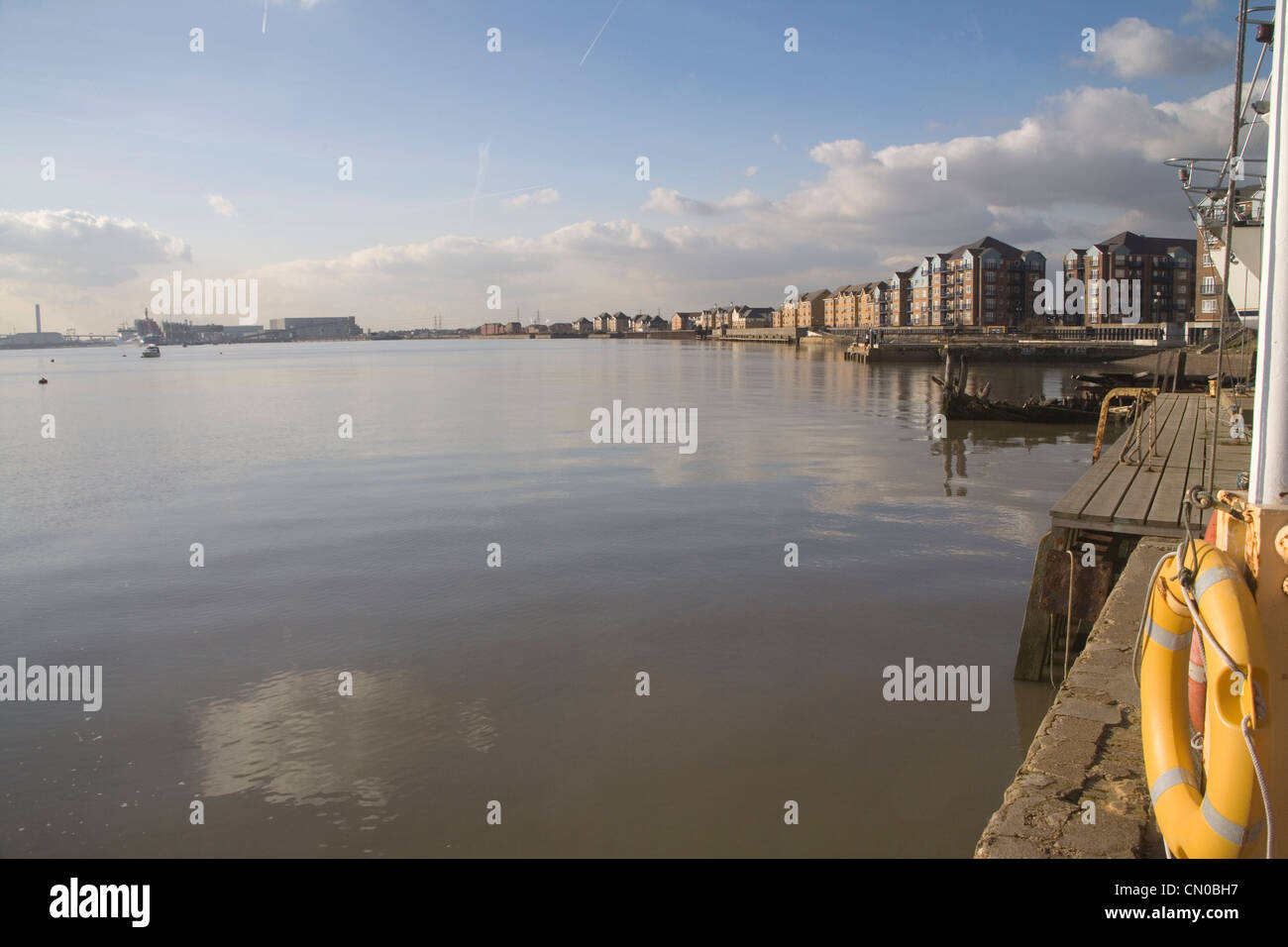 Phoques gris sur la rive nord ou de la Tamise à Londres Banque D'Images