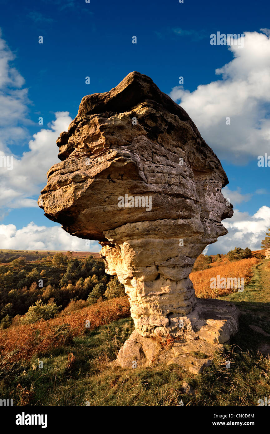 Formations rocheuses de Bridestones Parc national de North Yworks Moors. Yorkshire . Angleterre Banque D'Images