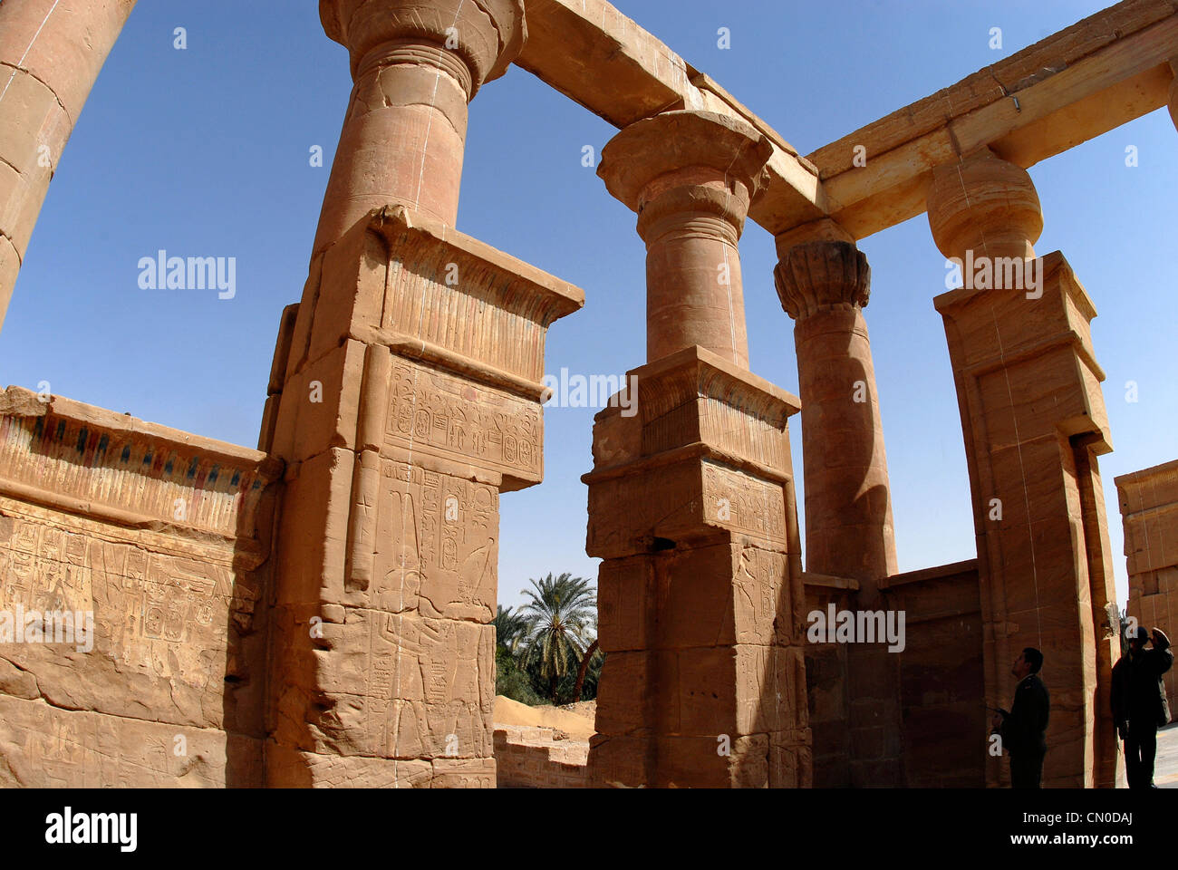 Western Desert Egypte Banque D'Images