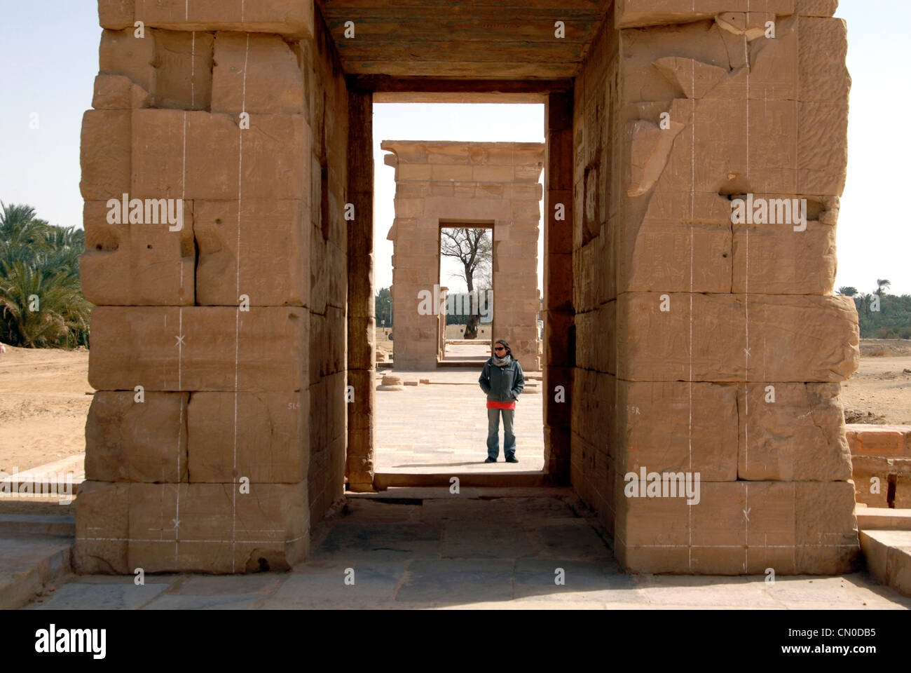 Western Desert Egypte Banque D'Images