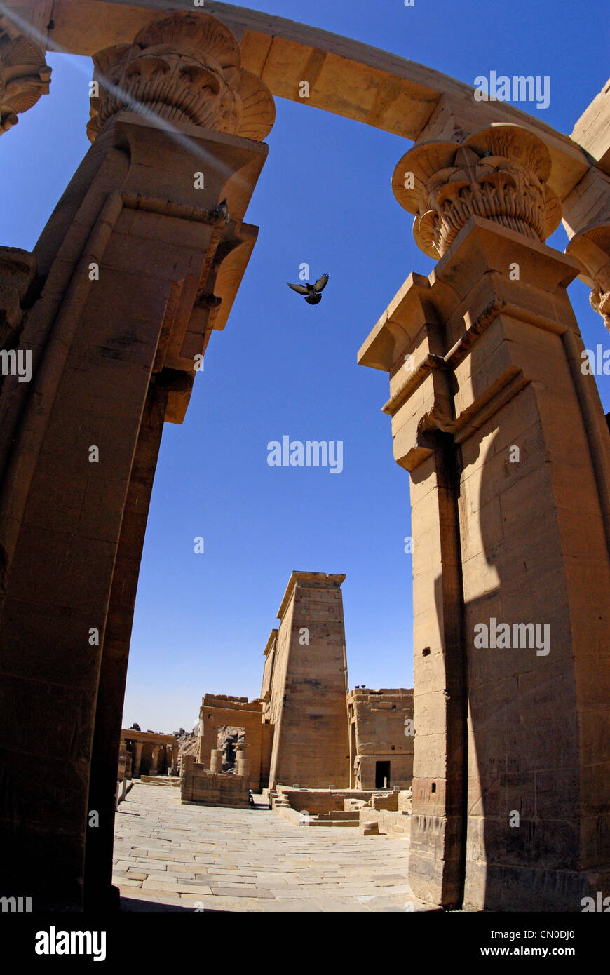 Western Desert Egypte Banque D'Images