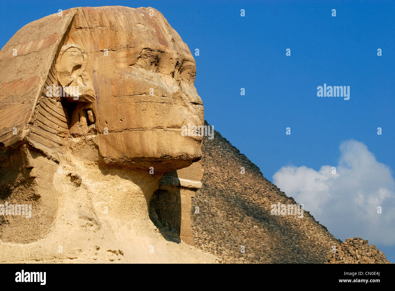 Western Desert Egypte Banque D'Images