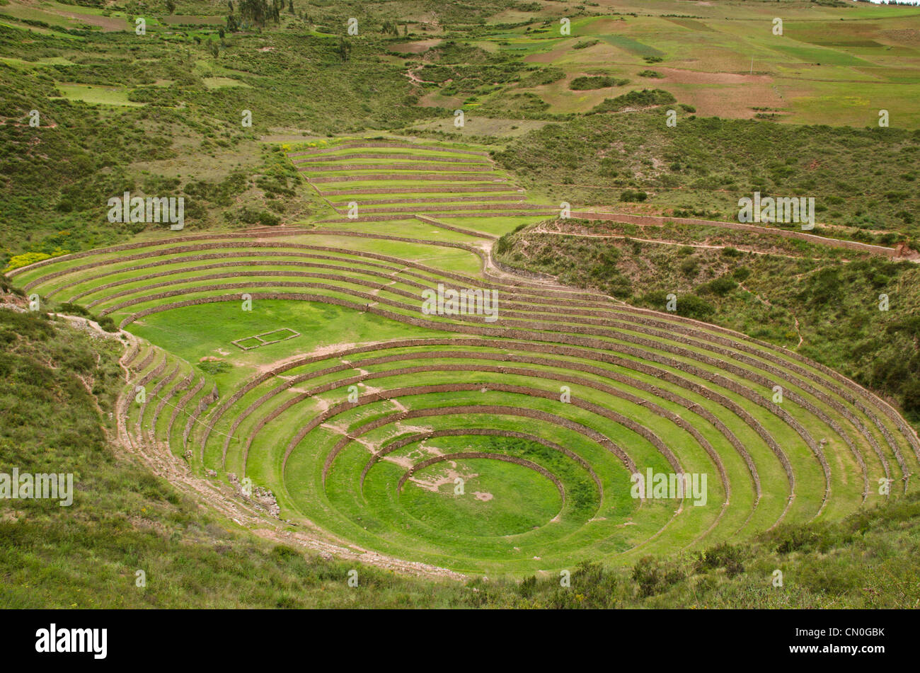 Terrasses de moray agricole inca, Pérou Banque D'Images