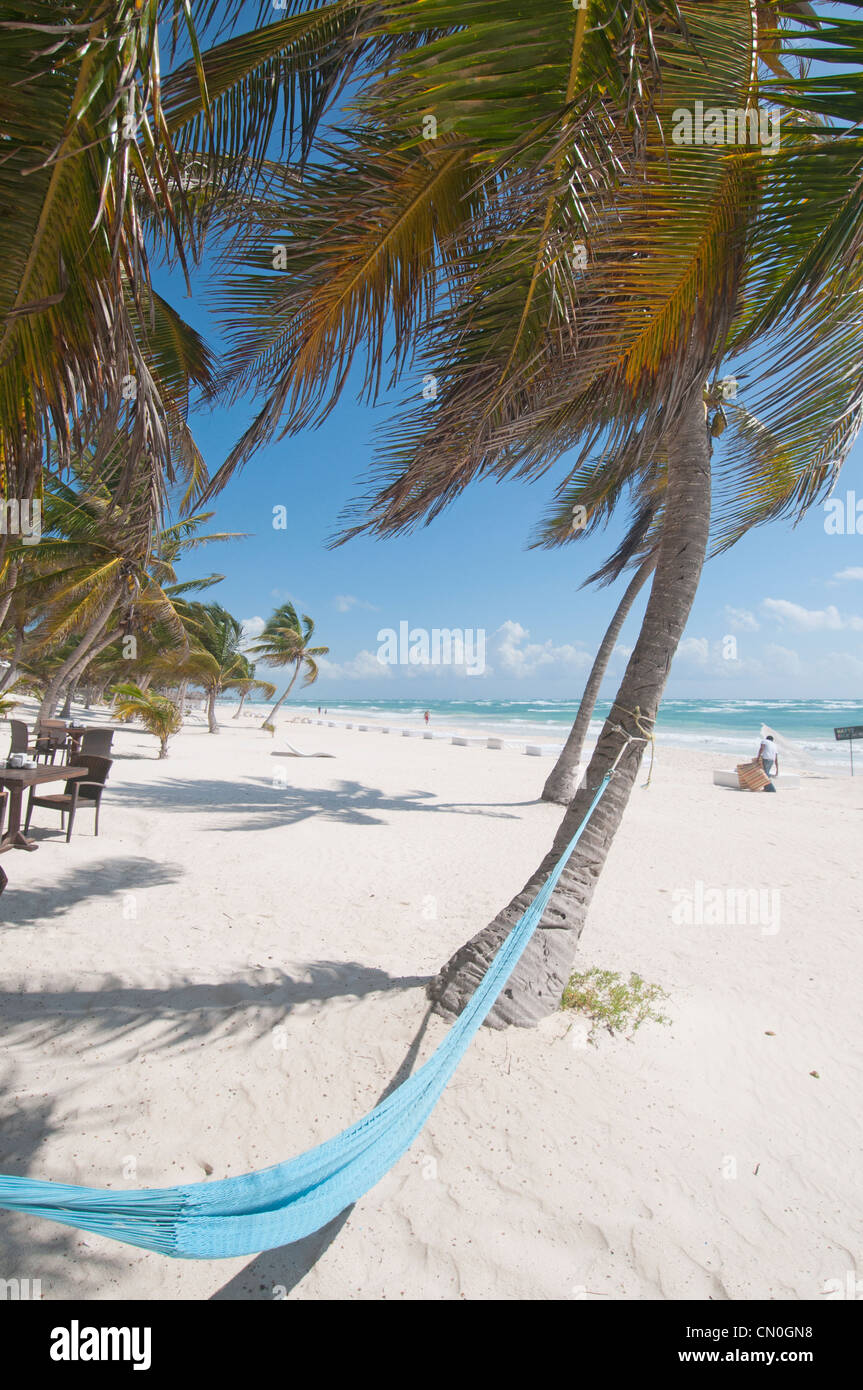 Hamac sur la plage de sable blanc Tulum Mexico Banque D'Images