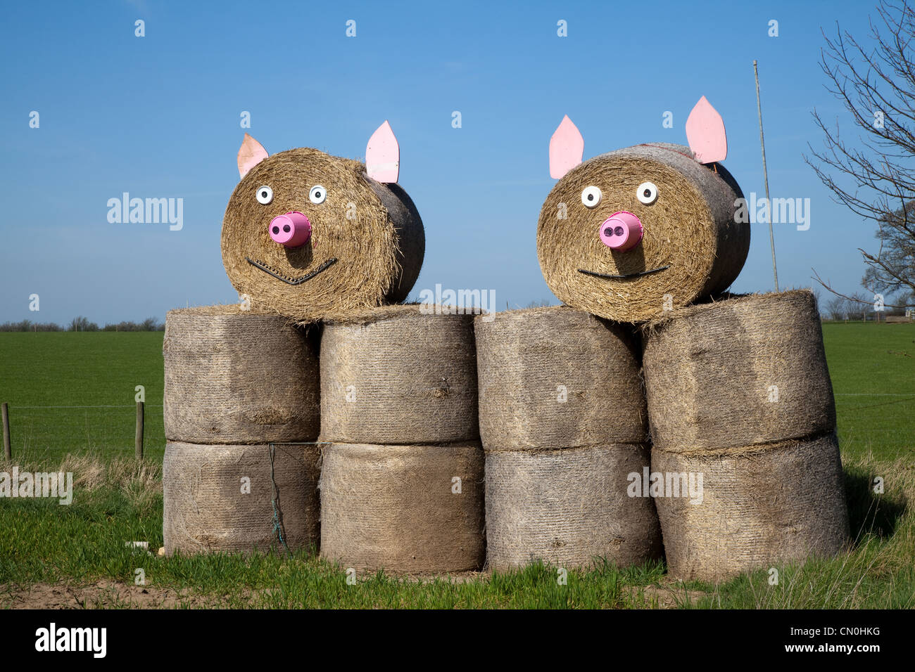Bottes de paille Visages, sur la Ferme du Yorkshire du Nord, Royaume-Uni Banque D'Images