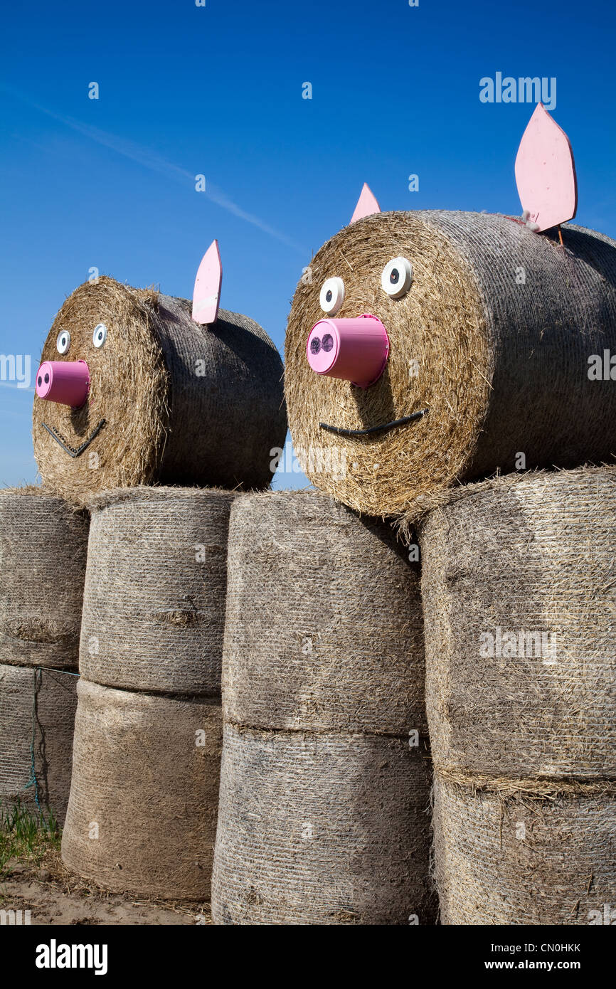 Bottes de paille Visages, sur la Ferme du Yorkshire du Nord, Royaume-Uni Banque D'Images