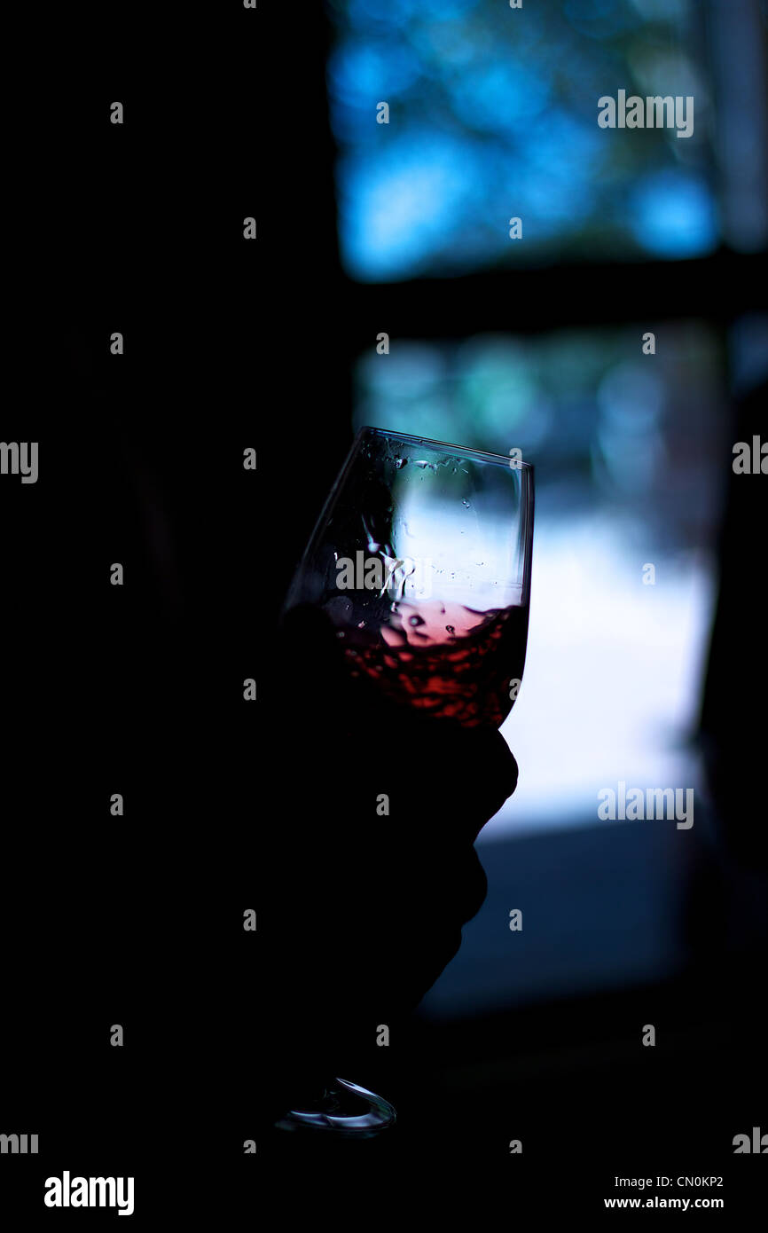 Verre à vin rouge swirl Banque D'Images