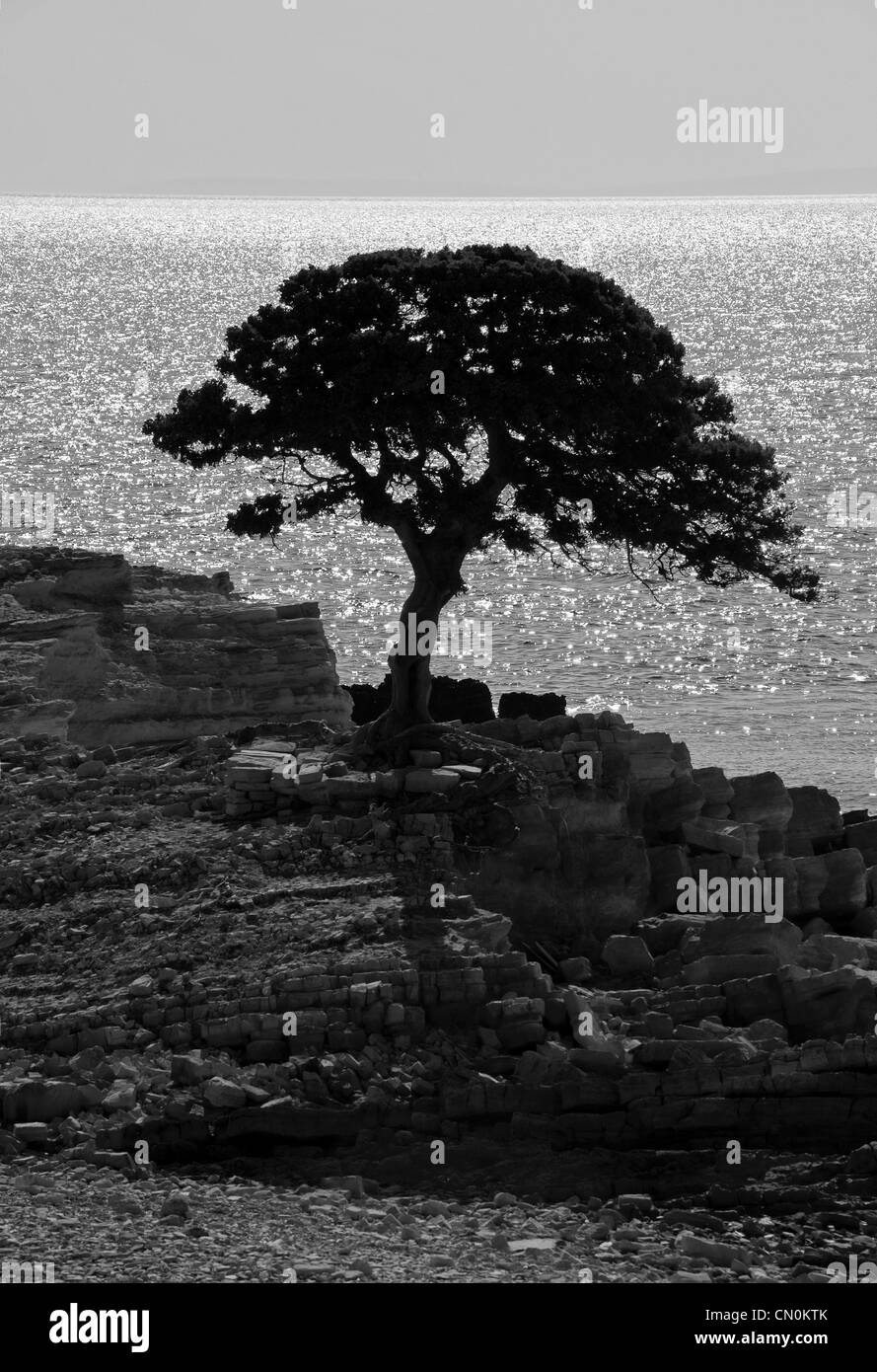 Plage de Monodendri, Lipsi Island, îles du Dodécanèse, Grèce Banque D'Images