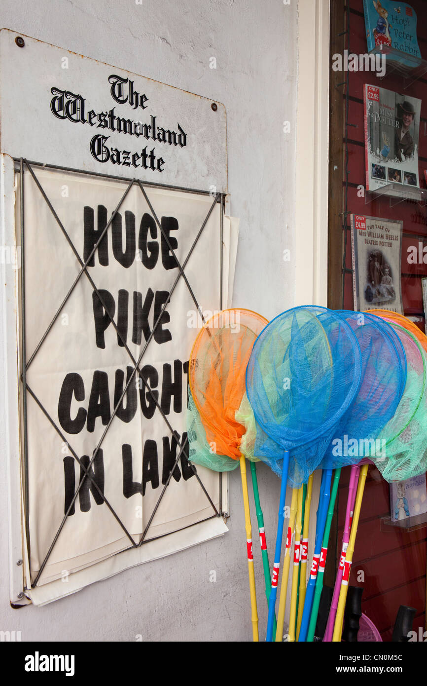 UK, Bowness on Windermere, Cumbria, capturés dans le lac Brochet énorme gros titre de journal à côté des filets de pêche de l'enfant Banque D'Images