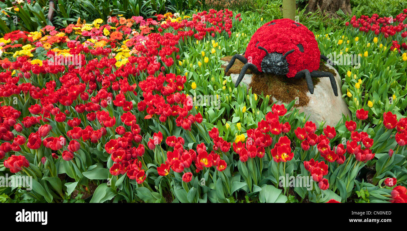 Printemps 2010 Conservatoire Bellagio Las Vegas Paradise Banque D'Images