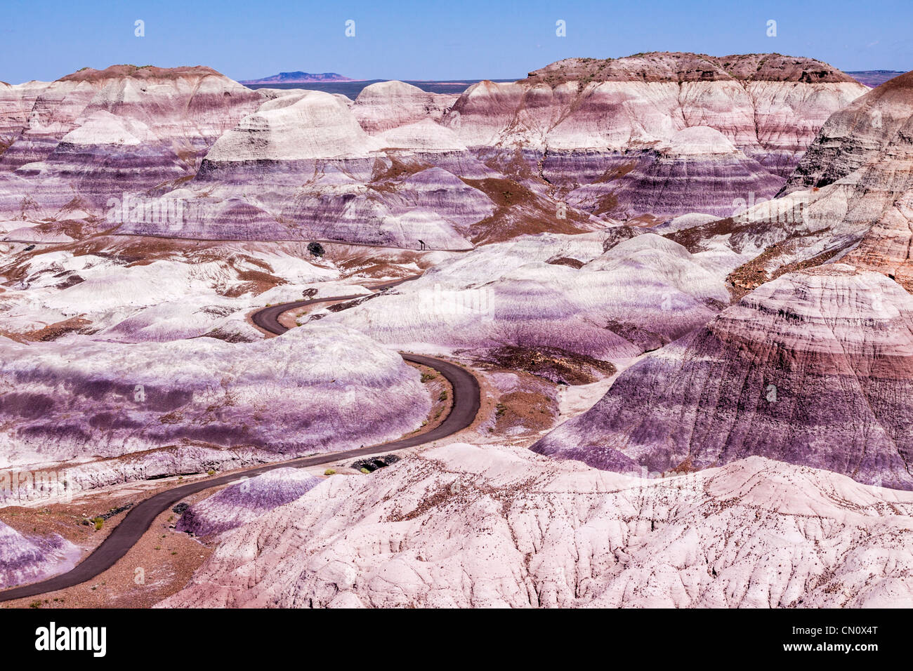 Domaine de la Blue Mesa désert peint dans le Parc National de la forêt pétrifiée de l'Arizona. Banque D'Images