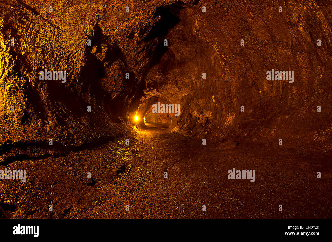 Thurston lava tube, Volcano National Park, Big Island, Hawaii Banque D'Images