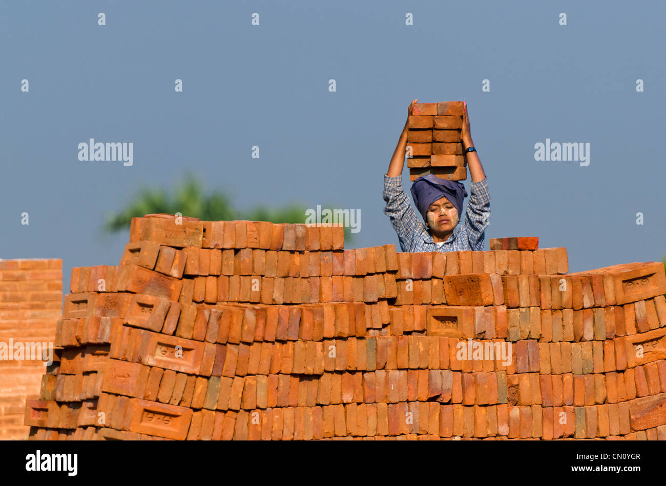 Des femmes portant des briques sur la tête, Bagan, Myanmar Banque D'Images