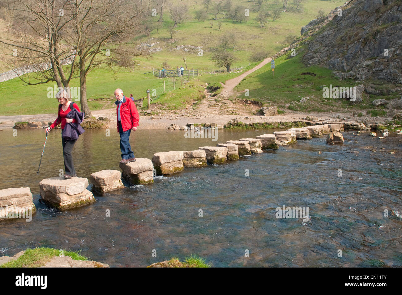 Tremplin en Dovedale Derbyshire, Banque D'Images