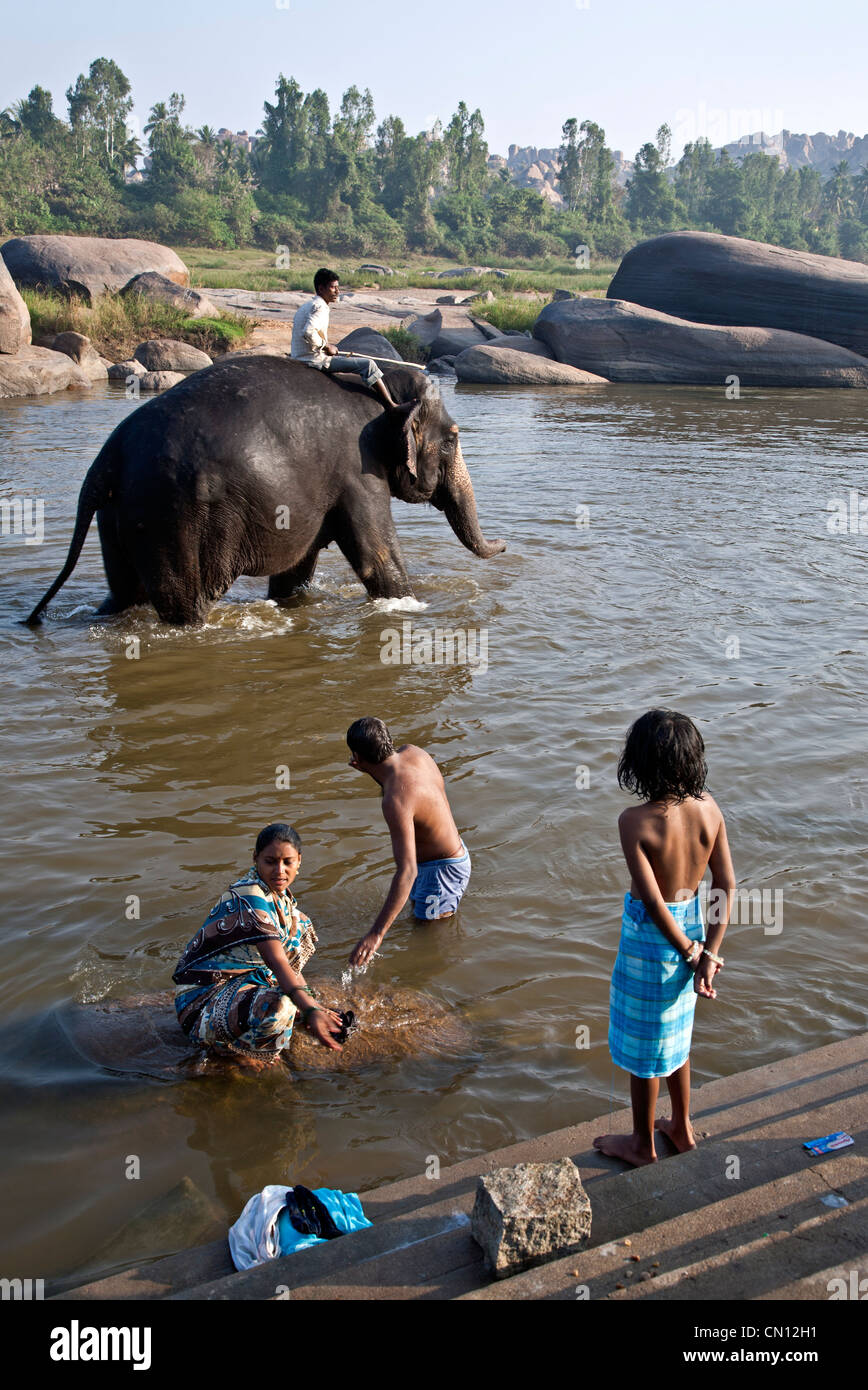 Éléphant dans une rivière. Hampi. Karnataka. L'Inde Banque D'Images