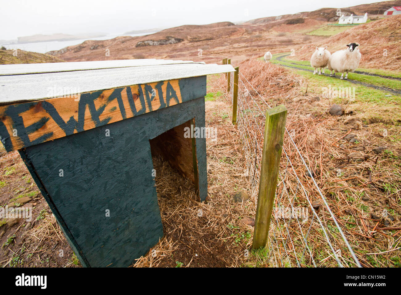Un abri à moutons nommé curieusement portnalong sur l'île de Skye, Écosse, Royaume-Uni. Banque D'Images