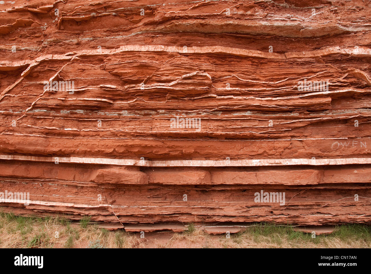 Les veines de gypse roche couverture Canyons State Park Texas USA Photo  Stock - Alamy
