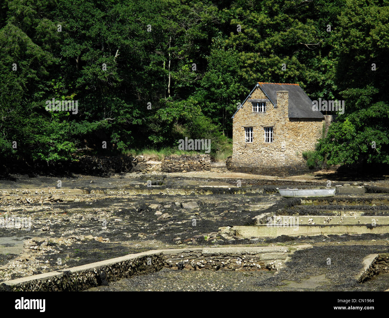 Riec-sur-Belon, Belon river, finistere, Bretagne, Bretagne, France parc d'Huîtres Banque D'Images Riec-sur-Belon, Belon river, finistere, Bretagne, Bretagne, France parc d'Huîtres Banque D'Images