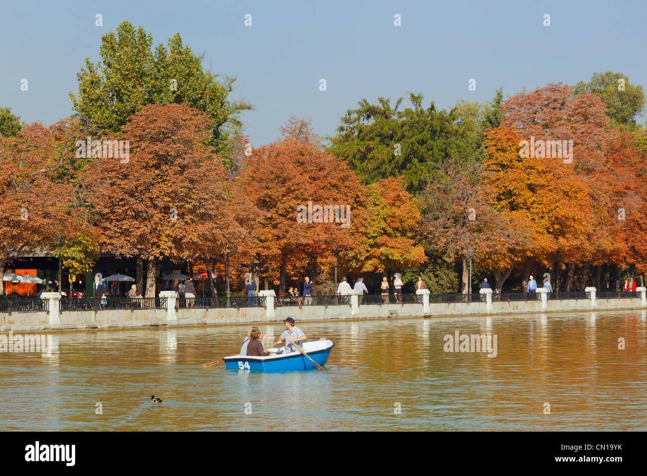 Madrid, Espagne. De l'aviron sur l'Estanque, ou d'un lac, dans les jardins d'El Retiro. Monument au roi Alphonse XII en arrière-plan. Banque D'Images