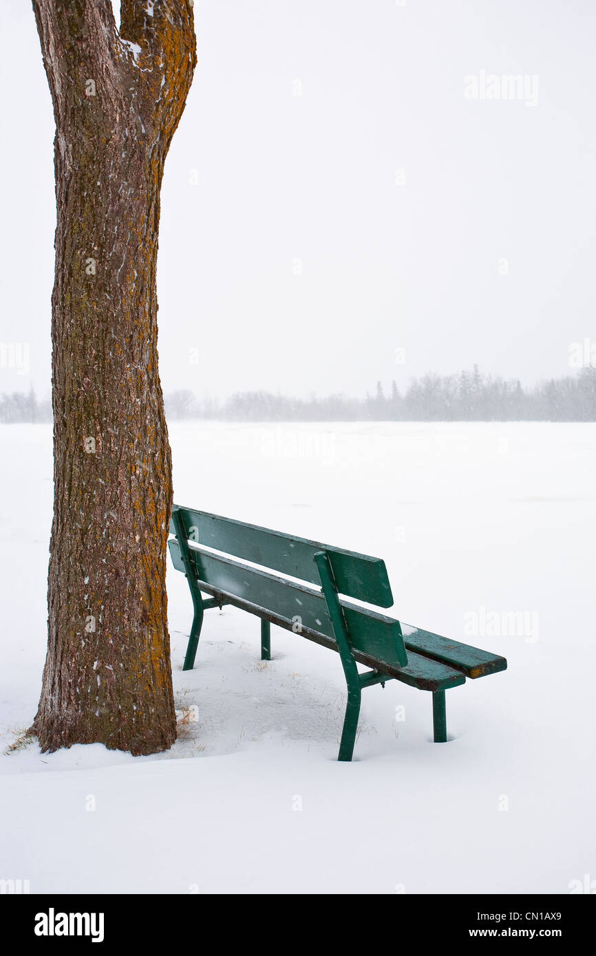 Banc de parc vide sur une journée d'hiver, parc Assiniboine, Winnipeg, Manitoba Banque D'Images