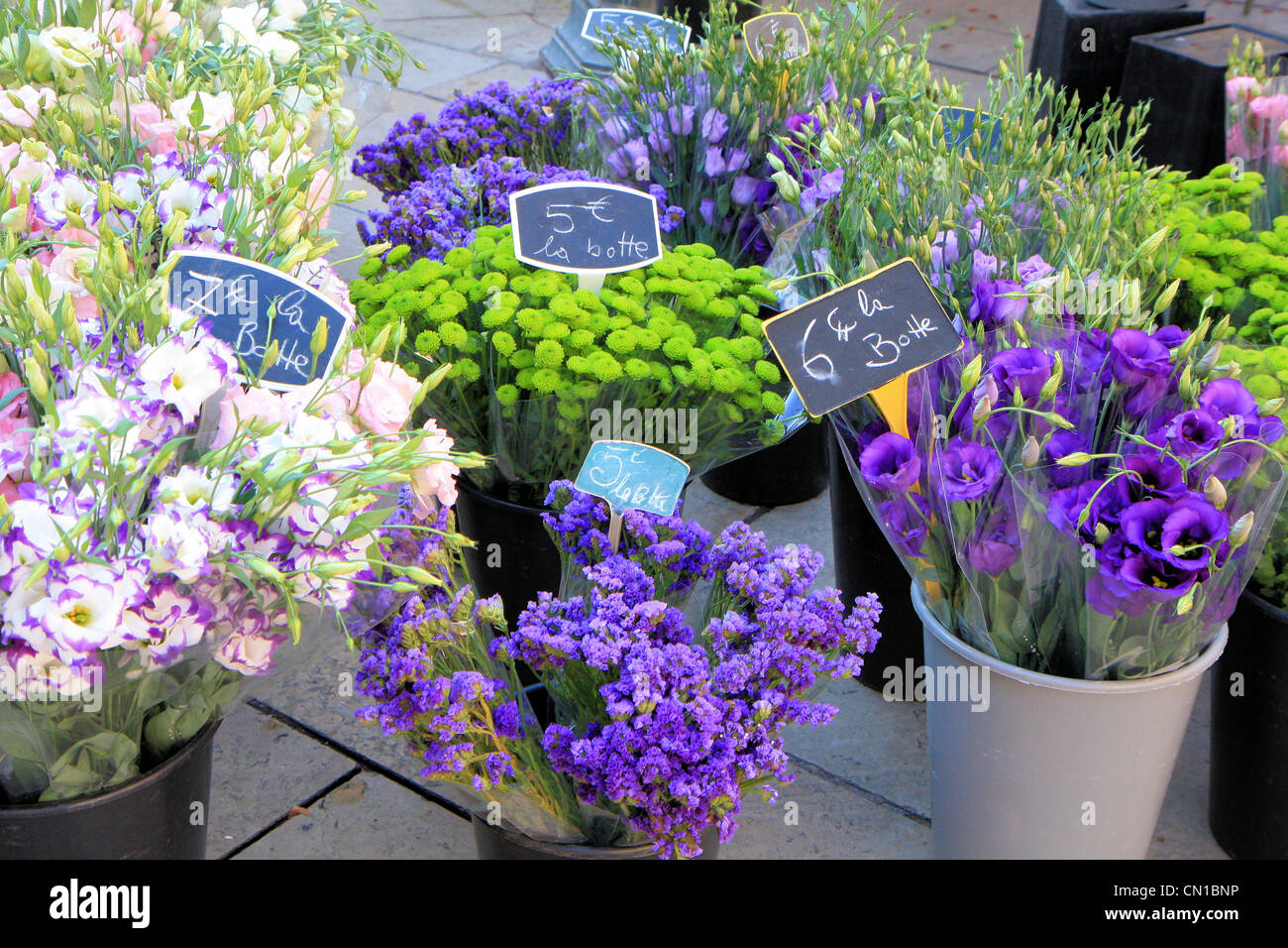Close-up Flower Market, Aix en Provence, France Banque D'Images