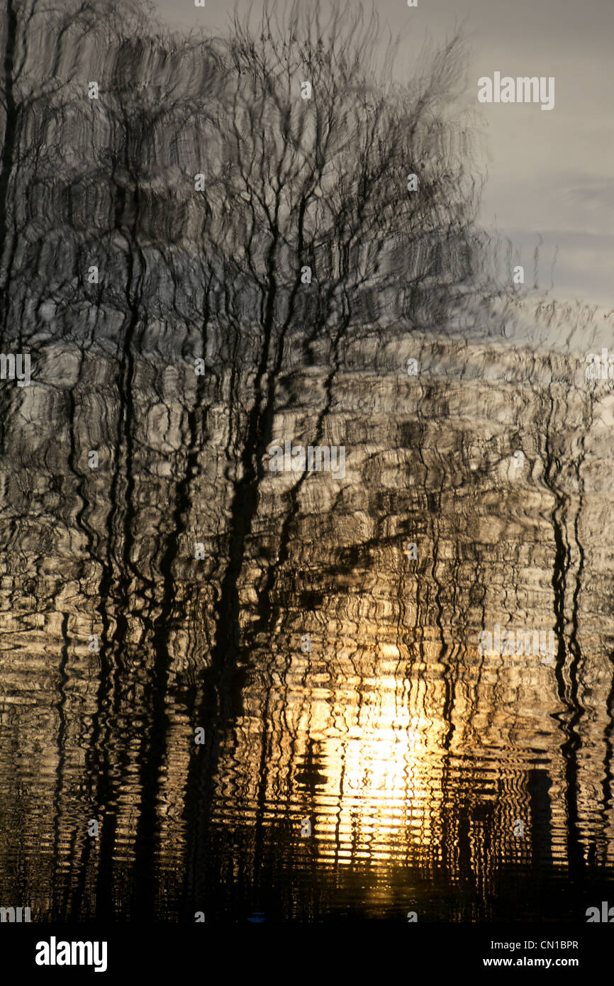 La réflexion dans le Grand Union canal au coucher du soleil, Hertfordshire, Angleterre Banque D'Images