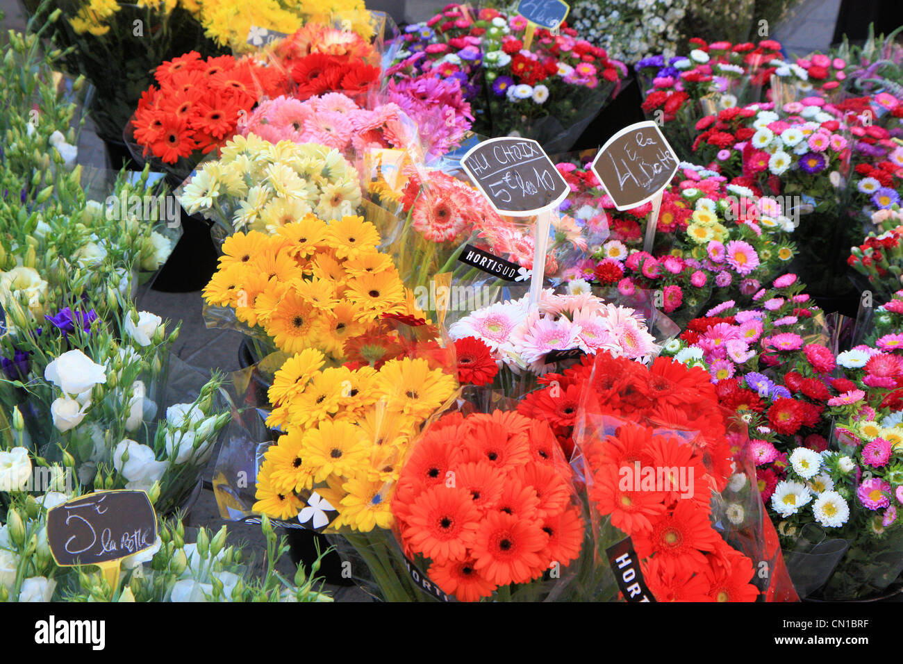 Close-up Flower Market, Aix en Provence, France Banque D'Images