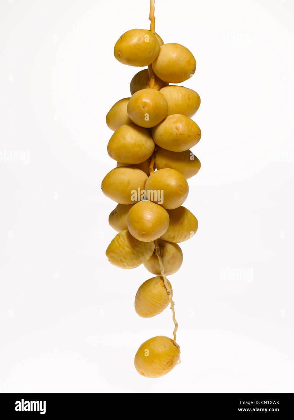 Dates vertes sur fond blanc Banque D'Images