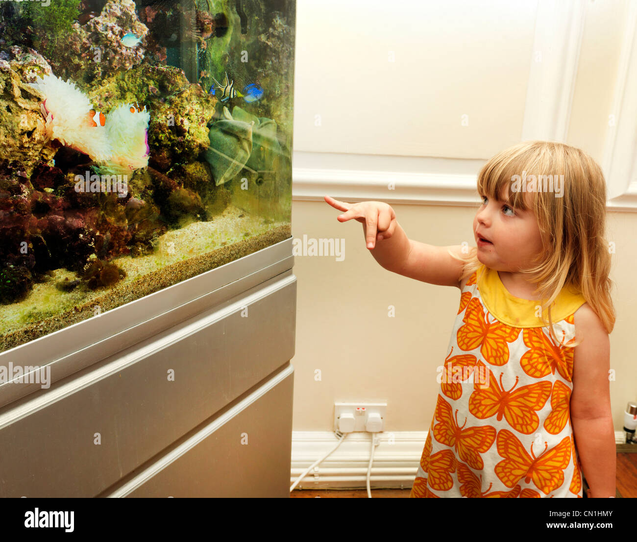 Jeune fille à la recherche d'un réservoir de poissons de mer dans poisson pointant sur le poisson Banque D'Images