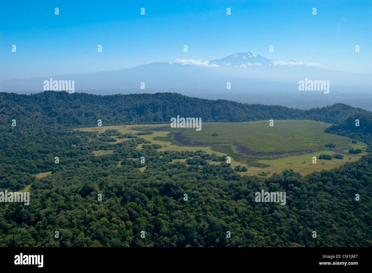 Marais de Parc National d'Arusha - Kilimanjaro en Tanzanie, l'arrière-plan Banque D'Images