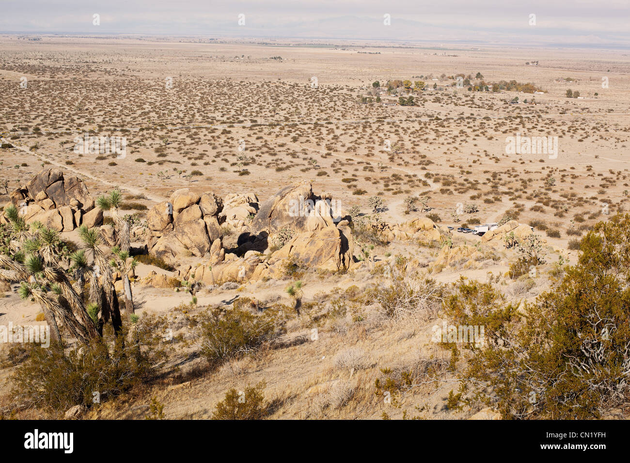 Paysage désertique du sud de la Californie Banque D'Images
