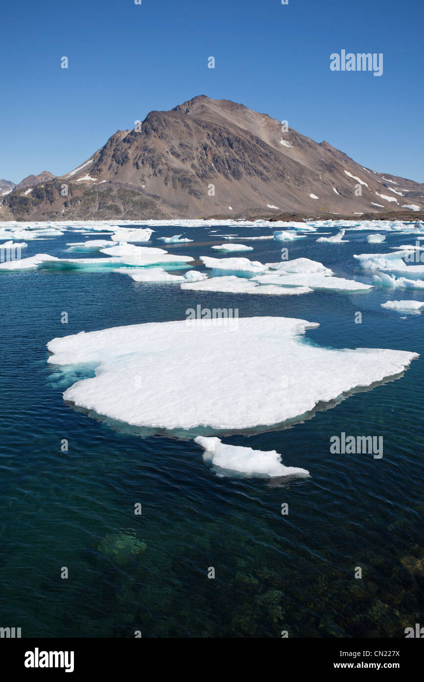 Paysage de l'Arctique au Groenland, la glace de mer près de Kulusuk, Groenland Banque D'Images