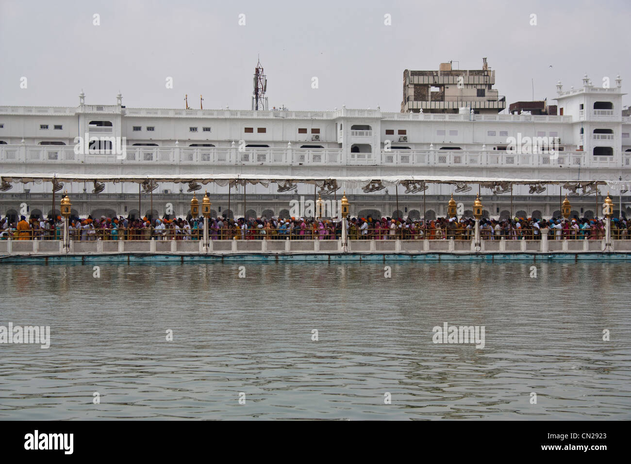 Foule de fidèles à l'intérieur du temple d'or, debout sur la chaussée qui traverse l'Amrit Sarovar, fond blanc Banque D'Images