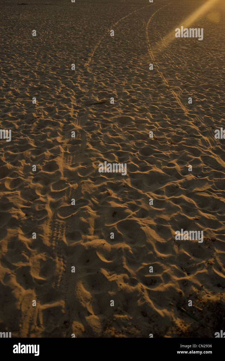 Les traces de pneus sur la plage de sable Banque D'Images