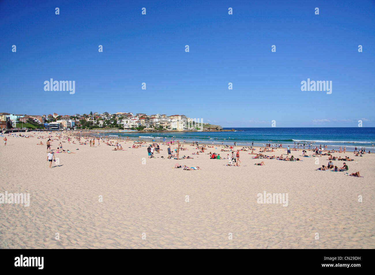 Vue sur la plage, Bondi Beach, Sydney, New South Wales, Australia Banque D'Images