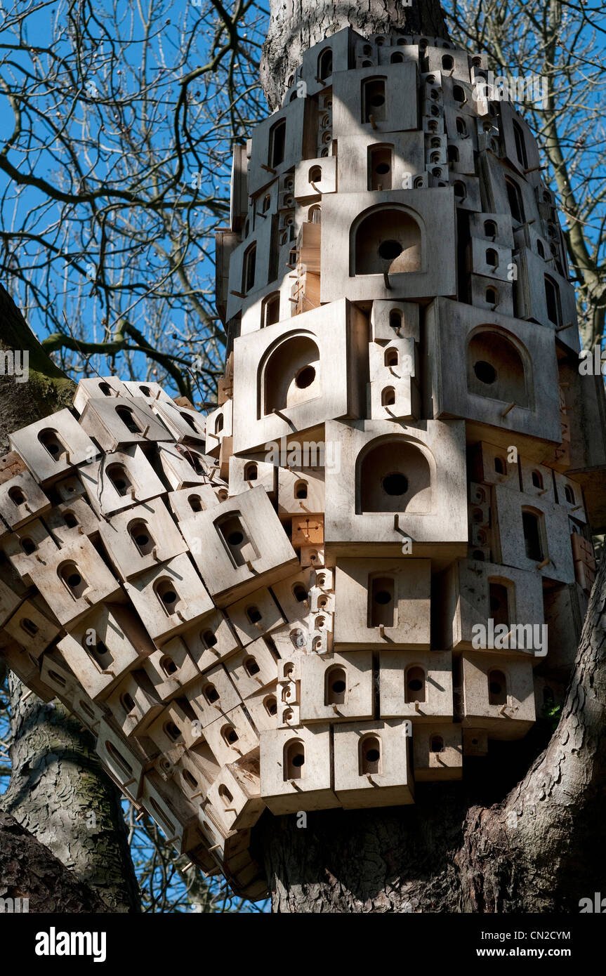 Nichoirs d'oiseaux sur tronc d'arbre, Norfolk, Angleterre Banque D'Images