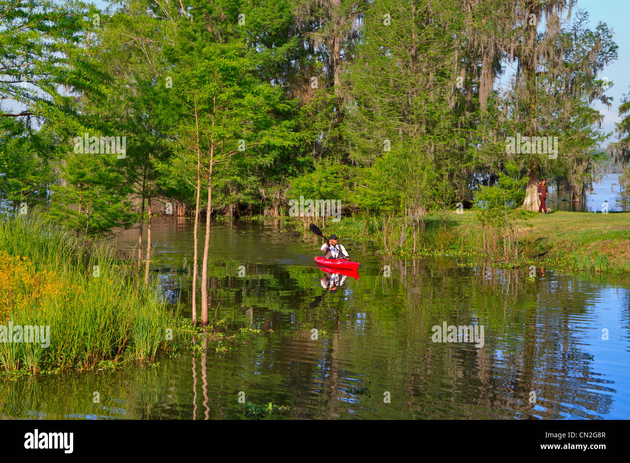 Kayak sur le lac Martin, en Louisiane. Banque D'Images