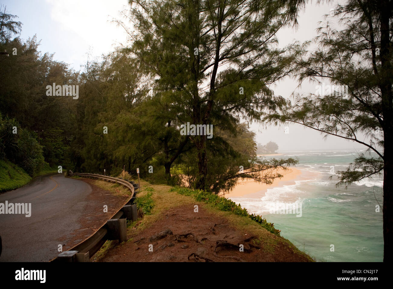 Par la route de l'Océan Pacifique Banque D'Images